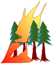 Active Crown Fire