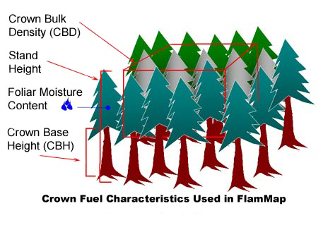 Crown Fuels Data used in FARSITE