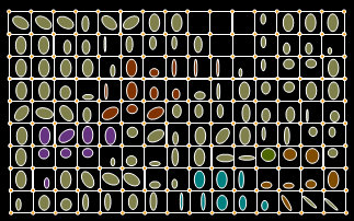Grid showing a ellipse in each cell