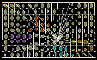 Ellipse grid with some possible pathways