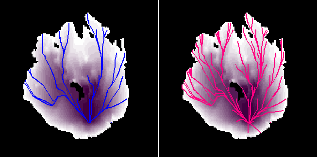 Major paths at 300m and 600m resolutions