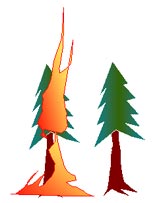 Torching