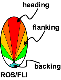 Head, Flanking, Backing Spread