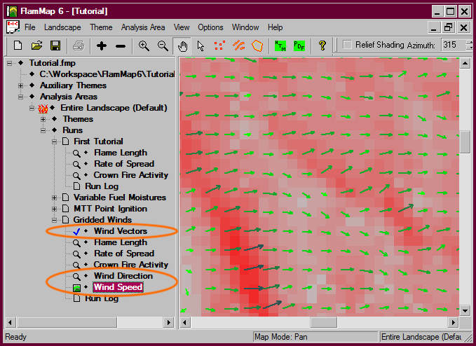 Project window displaing Wind Speed grid and Wind Vectors outputs.