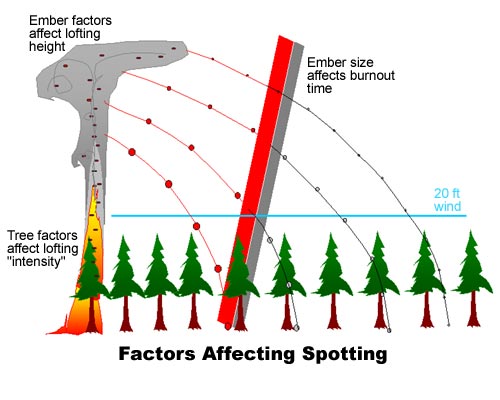 Factors Affecting Spotting