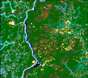 Existing landscape fuel model theme.