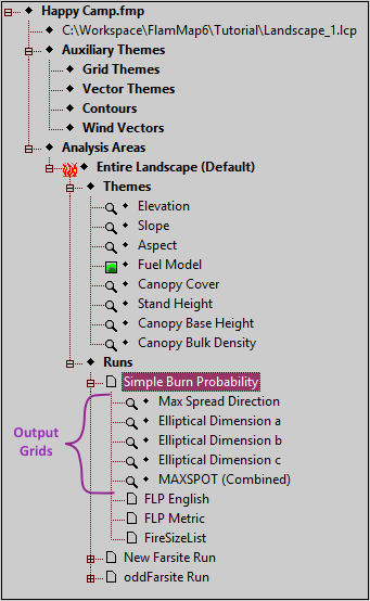 Tree pane showing expanded run item.