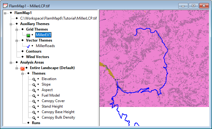 Project window after displaying vegetation type grid theme